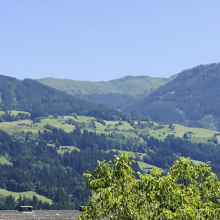 Apartment Appartementhaus Soellbacherhof Fuegen