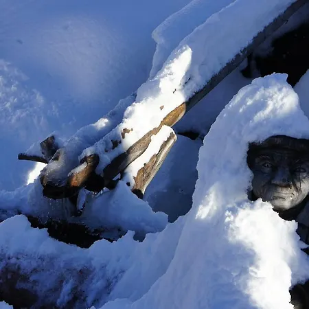 Apartment Söllbacherhof Fügen