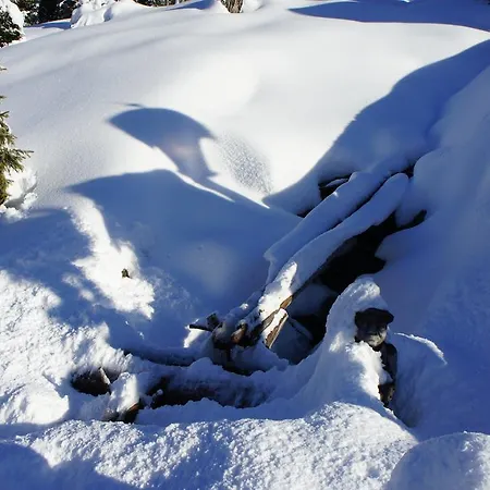 Söllbacherhof Apartment Fügen