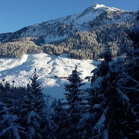 Soellbacherhof Apartman Fügen