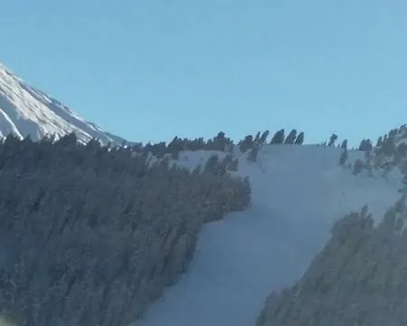 Söllbacherhof Apartment *