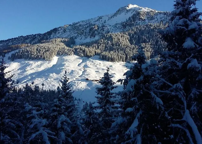 Soellbacherhof Appartement Fügen