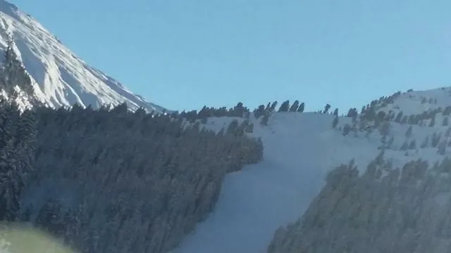 Soellbacherhof Appartement *